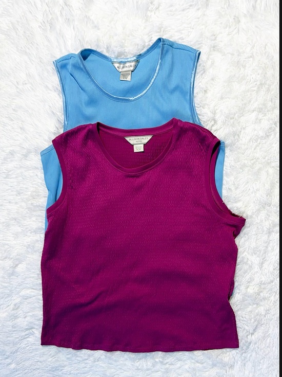 Allison Daley Tops - Allison Daley Sleeveless Tops Bundle Lot of 2 Blue Magenta Size L / PL